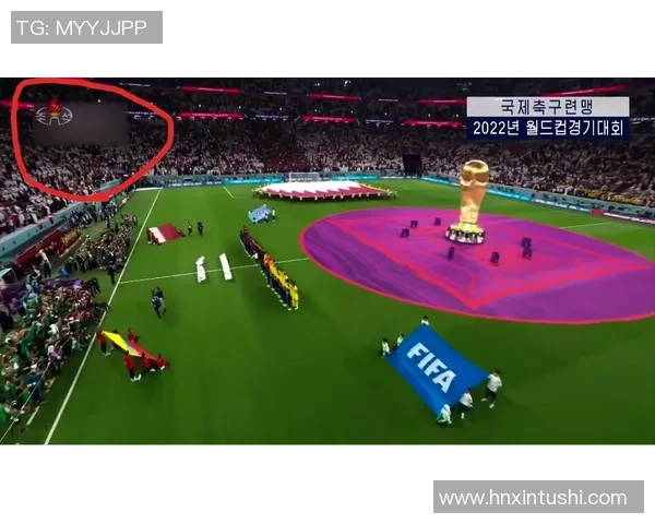 京多安的传奇之路：从默默无闻到世界足球舞台的闪耀明星