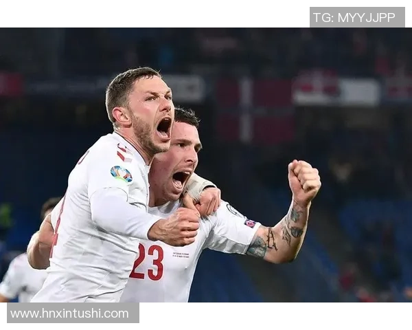 法国对阵爱尔兰比赛分析及大小球投注策略探讨