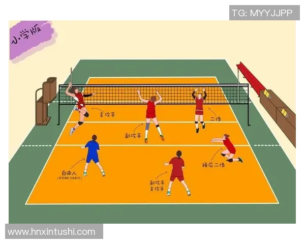 北京排球队的战术演变与球员转换深度解析 北京排球队的战术演变与球员转换深度解析