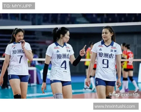 广州排球队灵活性深度解析与其他球队的对比研究MBA 广州排球队灵活性深度解析与其他球队的对比研究MBA